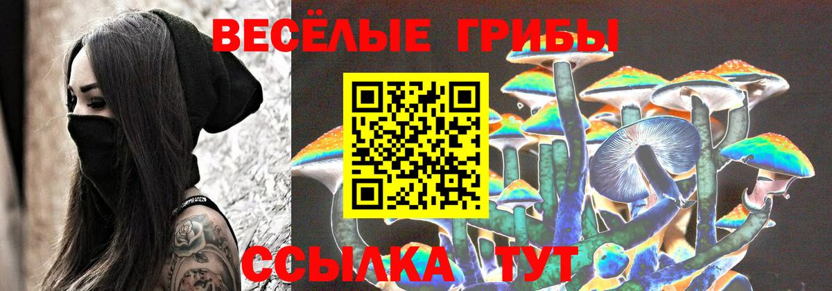 Псилоцибиновые грибы GOLDEN TEACHER Альметьевск