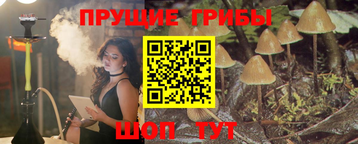Альметьевск  Галлюциногенные грибы Magic Shrooms  Вход с VPN  Псилоцибиновые грибы MAGIC MUSHROOMS 